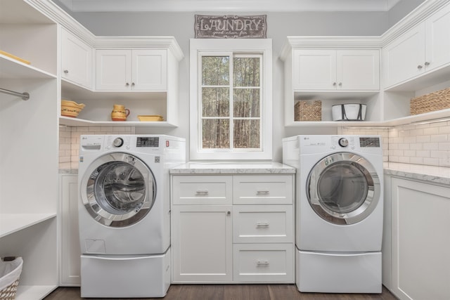 laundry room featuring cabinet space and washer and clothes dryer