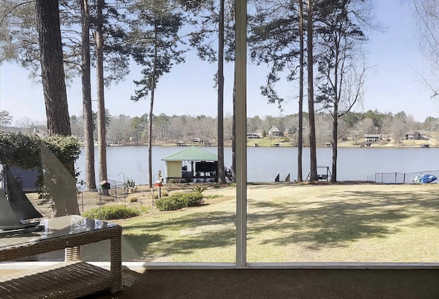 view of yard with a water view and a dock