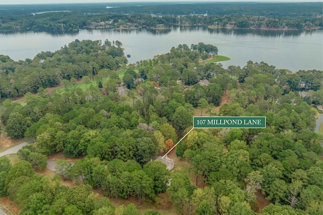 107 Millpond Ln, Eatonton, GA 31024 - photo 52