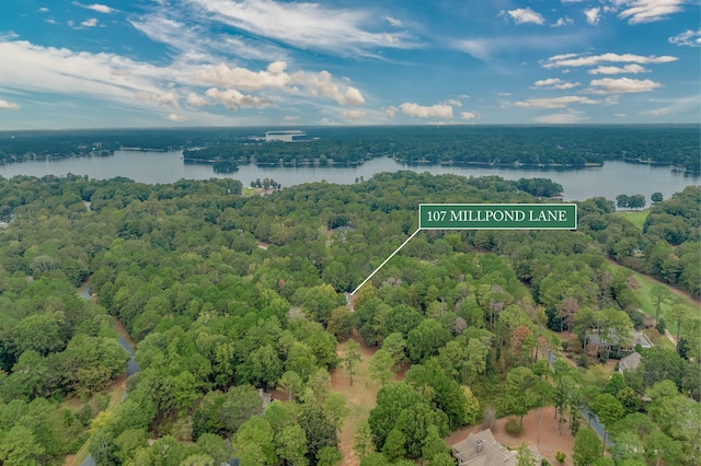 107 Millpond Ln, Eatonton, GA 31024 - photo 54