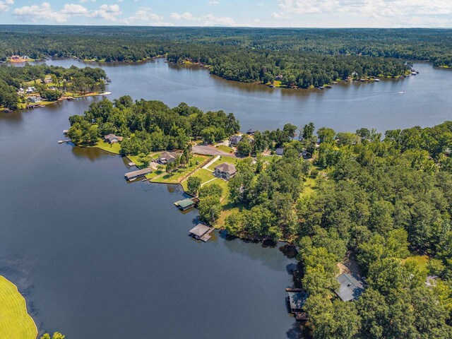 919 S Steel Bridge Rd, Eatonton, GA 31024 - photo 16