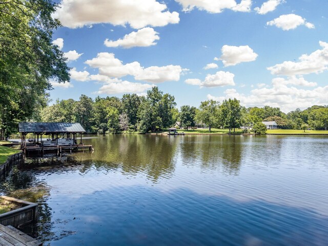 919 S Steel Bridge Rd, Eatonton, GA 31024 - photo 4
