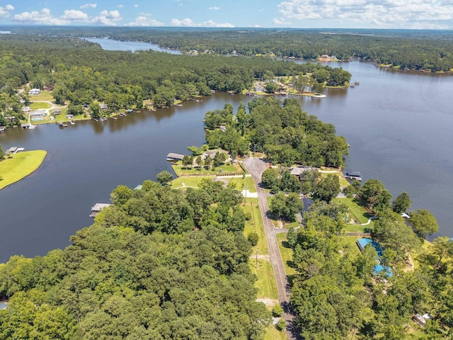 919 S Steel Bridge Rd, Eatonton, GA 31024 - photo 17