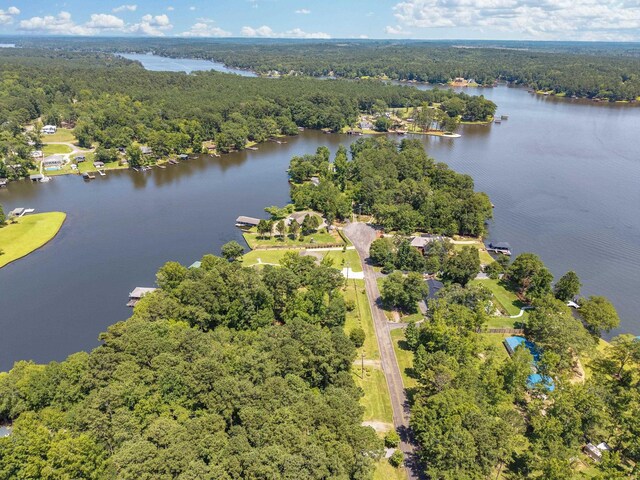 919 S Steel Bridge Rd, Eatonton, GA 31024 - photo 18