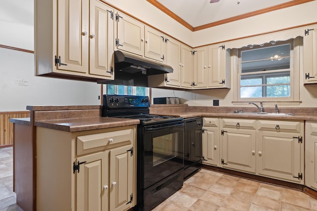 kitchen with crown molding, black electric range oven, sink, and cream cabinetry