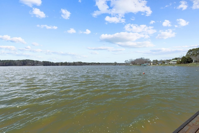 1051 Twin Rivers Rd, Greensboro, GA 30642 - water view