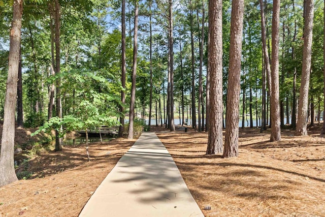 view of property's community featuring a water view