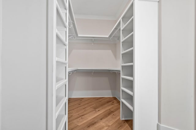 spacious closet featuring light hardwood / wood-style floors