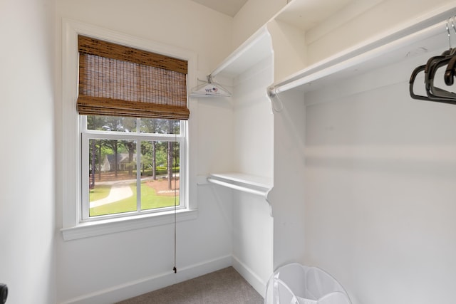 spacious closet with carpet