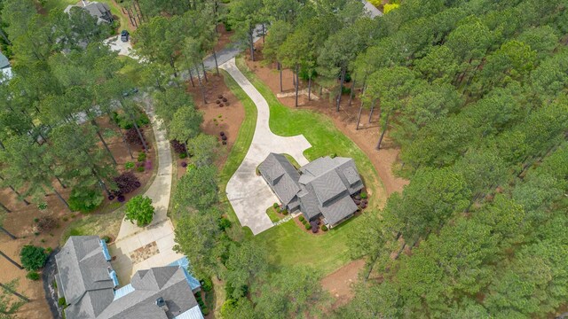 drone / aerial view