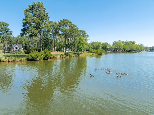 property view of water