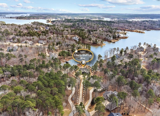 bird's eye view featuring a forest view and a water view