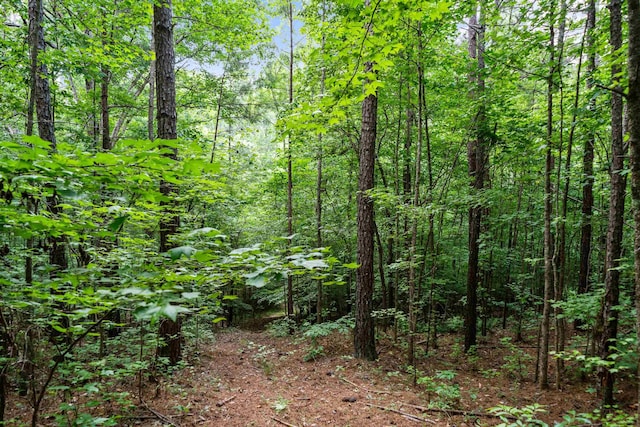 view of local wilderness