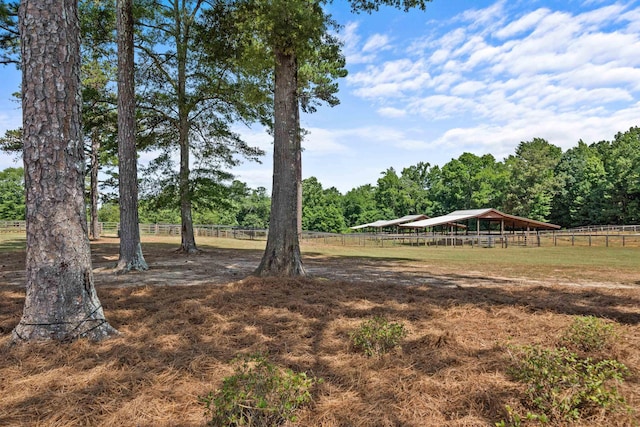 view of yard with a rural view