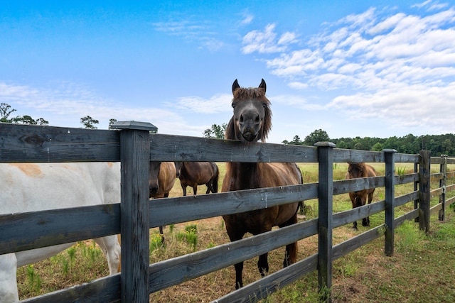 view of gate featuring a rural view