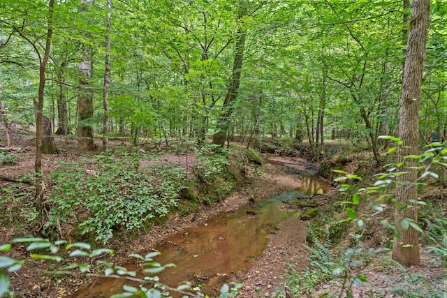 view of landscape