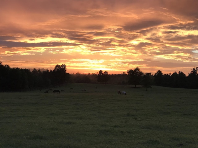 nature at dusk featuring a rural view