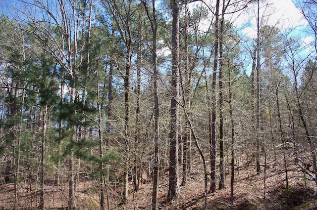 1290 Northwoods Dr, Greensboro, GA 30642 - photo 14