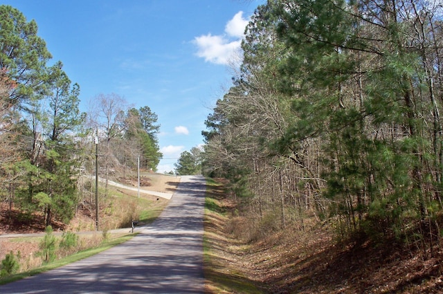 1290 Northwoods Dr, Greensboro, GA 30642 - photo 8