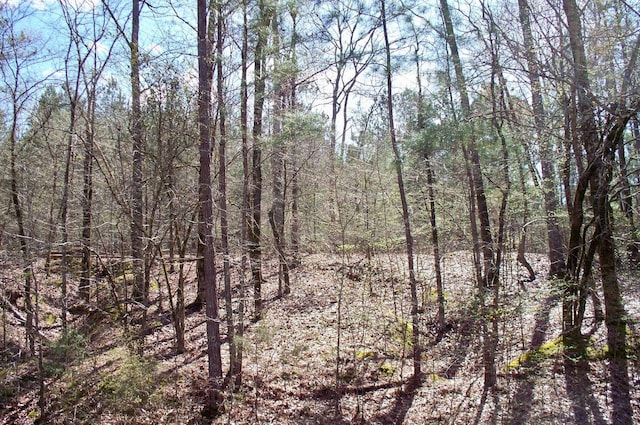 1290 Northwoods Dr, Greensboro, GA 30642 - photo 4