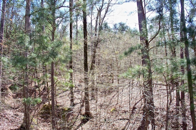 1290 Northwoods Dr, Greensboro, GA 30642 - photo 7