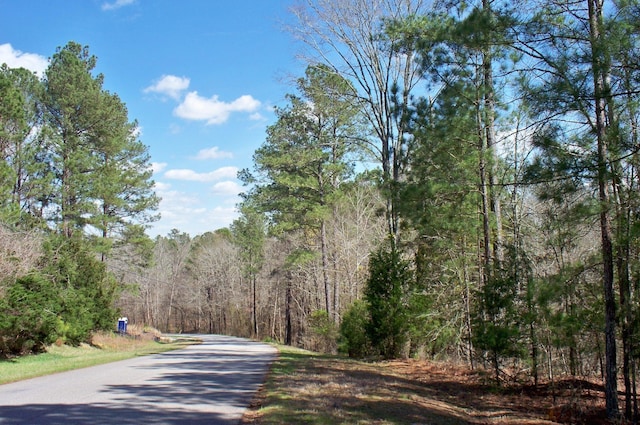 1290 Northwoods Dr, Greensboro, GA 30642 - photo 9