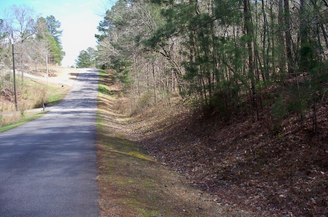 1290 Northwoods Dr, Greensboro, GA 30642 - photo 3