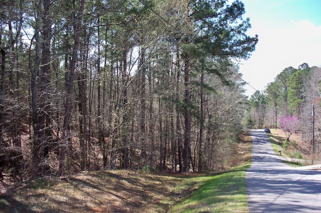 1290 Northwoods Dr, Greensboro, GA 30642 - photo 11