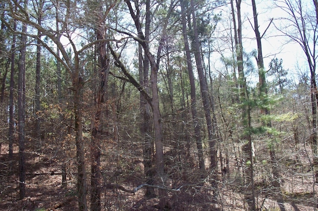 1290 Northwoods Dr, Greensboro, GA 30642 - photo 13
