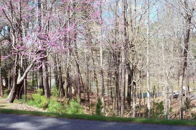 1290 Northwoods Dr, Greensboro, GA 30642 - photo 10