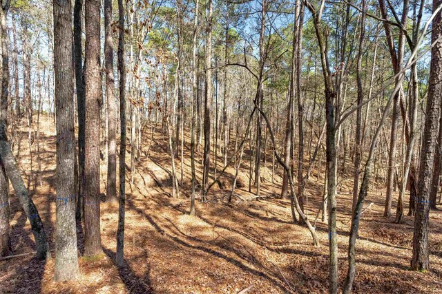 1070 Broadpoint Dr, Greensboro, GA 30642