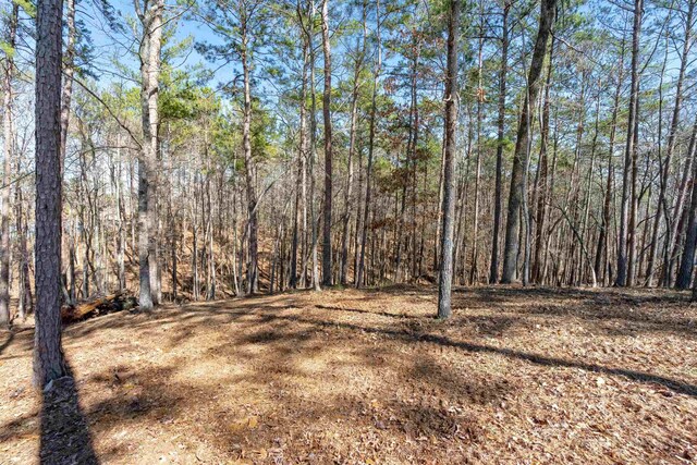 1070 Broadpoint Dr, Greensboro, GA 30642