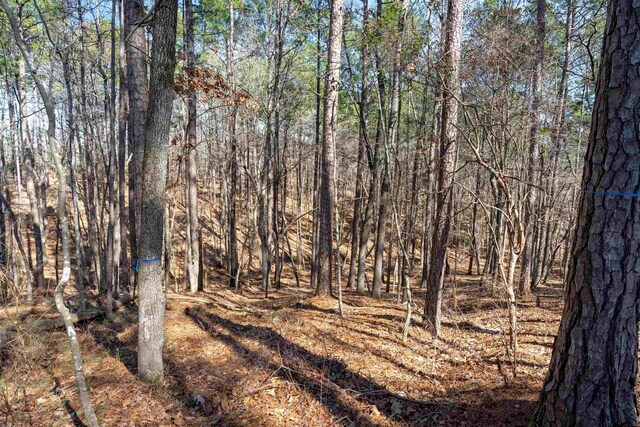 1070 Broadpoint Dr, Greensboro, GA 30642