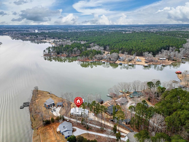 drone / aerial view featuring a water view and a view of trees