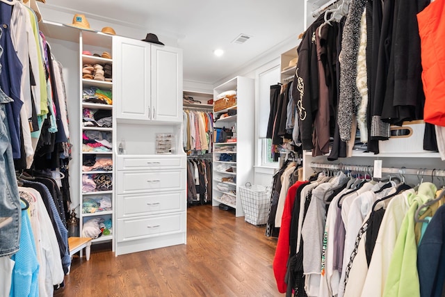 walk in closet featuring visible vents and dark wood-style flooring