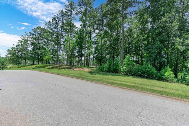 2101 Sandy Frd, Greensboro, GA 30642 - photo 3