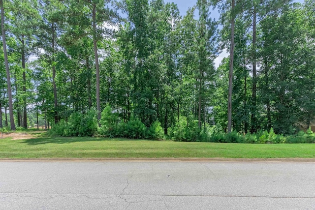 2101 Sandy Frd, Greensboro, GA 30642 - photo 2