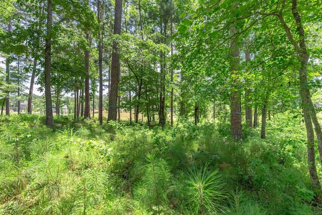 2101 Sandy Frd, Greensboro, GA 30642 - photo 6