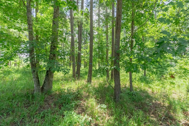 2101 Sandy Frd, Greensboro, GA 30642 - photo 5