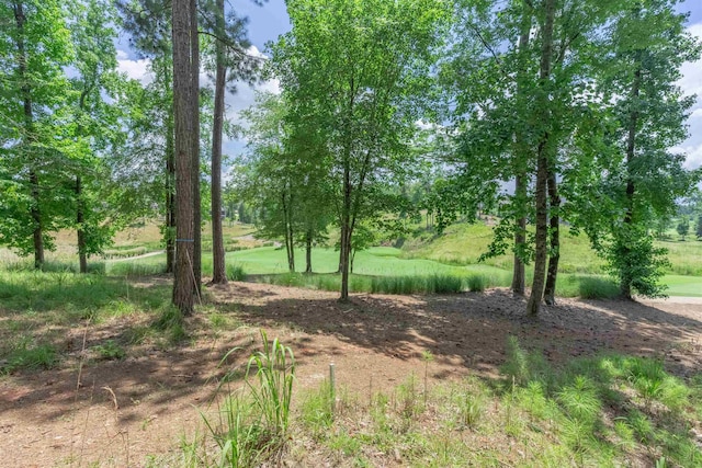 2101 Sandy Frd, Greensboro, GA 30642 - photo 7