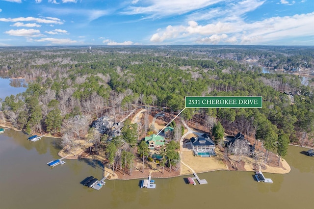 bird's eye view featuring a water view and a wooded view