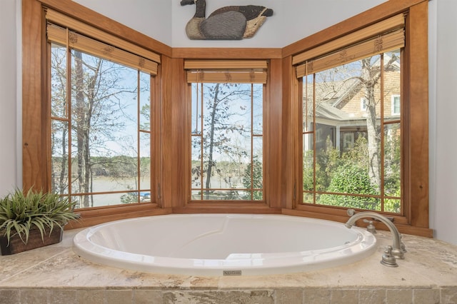 bathroom featuring a water view, a healthy amount of sunlight, and a bathtub