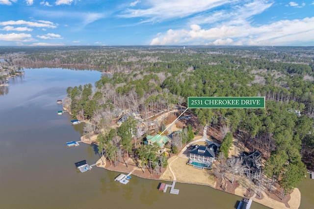 drone / aerial view featuring a forest view and a water view