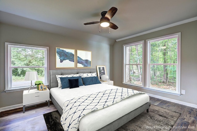 bedroom with crown molding, ceiling fan, hardwood / wood-style floors, and multiple windows