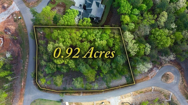 1110 Broadpoint Dr, Greensboro, GA 30642 - photo 3