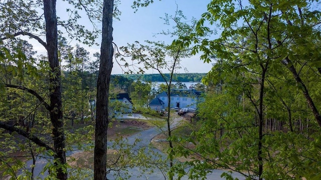 1110 Broadpoint Dr, Greensboro, GA 30642 - photo 6