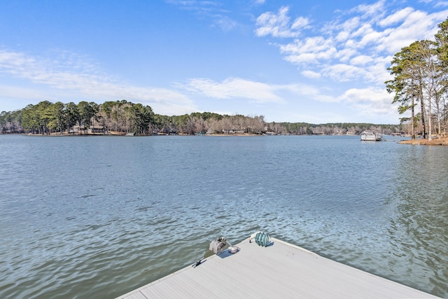 view of dock with a water view