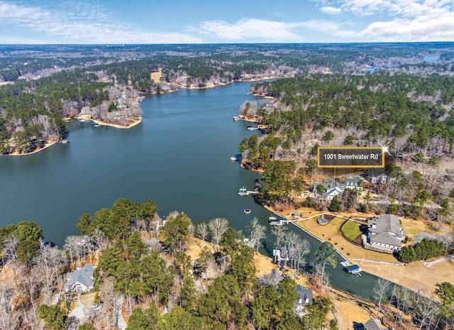 bird's eye view featuring a water view and a view of trees