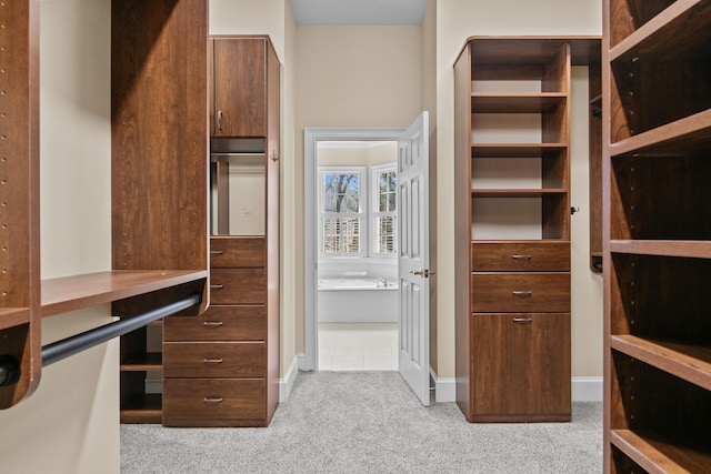 walk in closet with carpet flooring