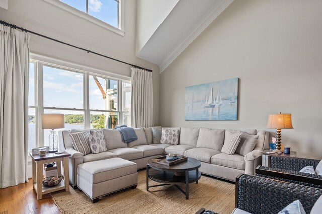 120UNIT304 Indian Summer Path, Eatonton, GA 31024 - living room with a healthy amount of sunlight, wood-type flooring, and a high ceiling